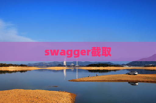 swagger截取